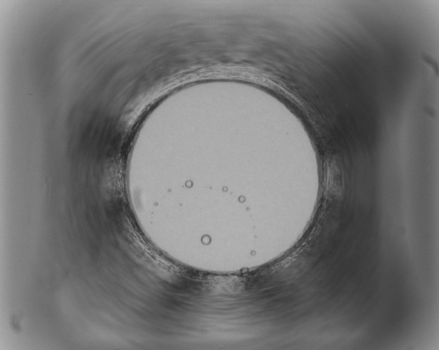 X0000100311498200806261150