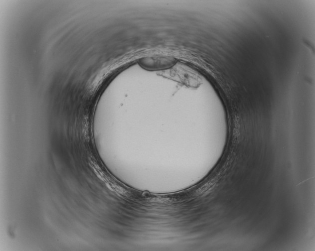 X0000100311499200806261150