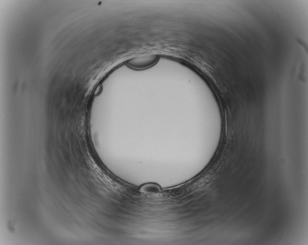 X0000100311500200806261150