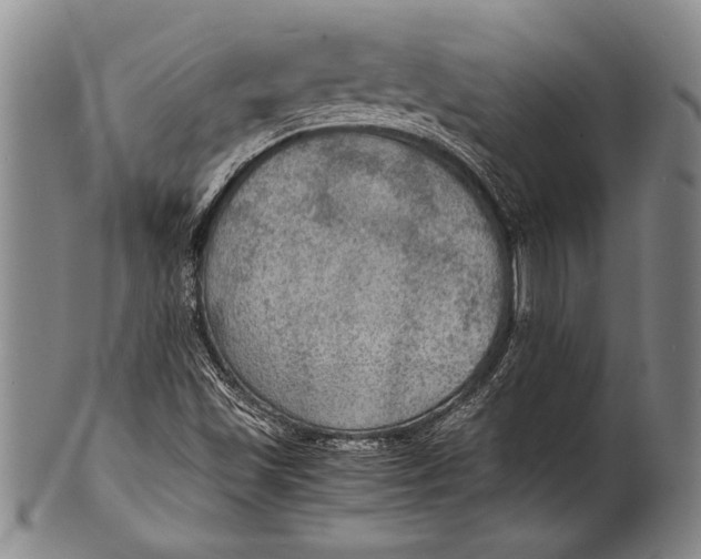 X0000100311501200806261150