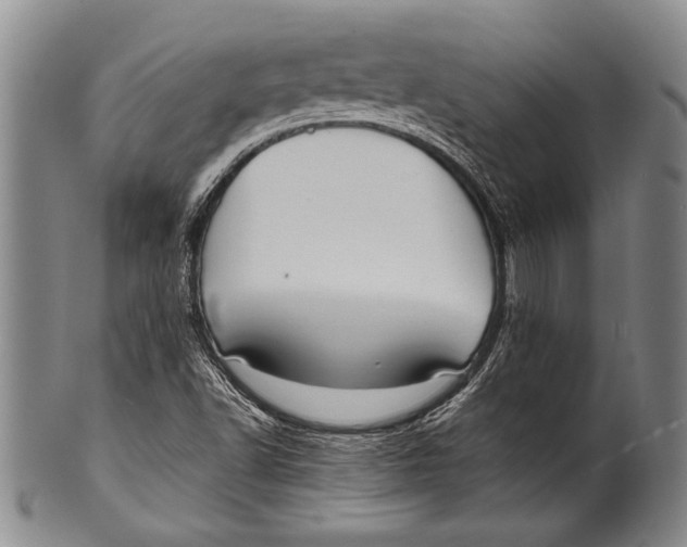 X0000100311502200806261150