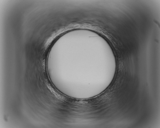 X0000100311503200806261150