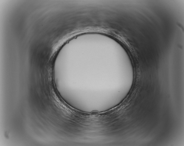 X0000100311504200806261150