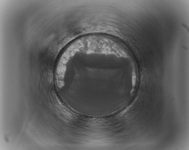 X0000100311505200806261150