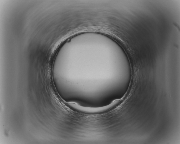 X0000100311506200806261150