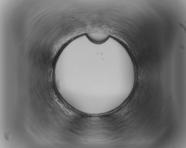 X0000100311507200806261150