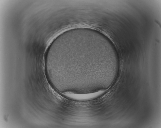 X0000100311508200806261150