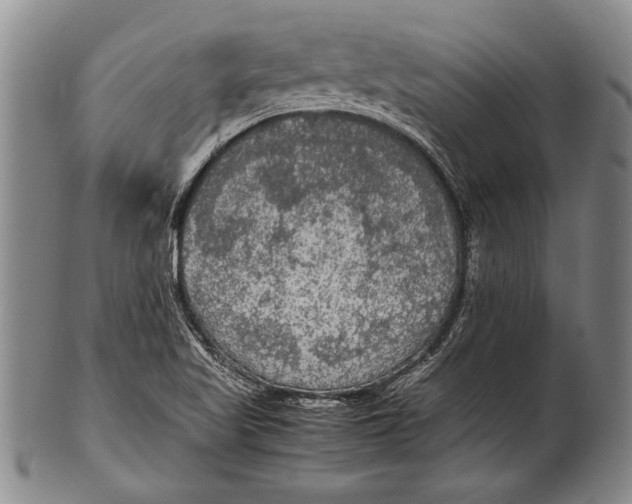 X0000100311509200806261150