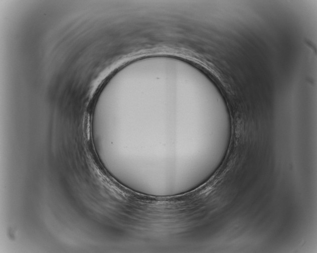 X0000100311510200806261150