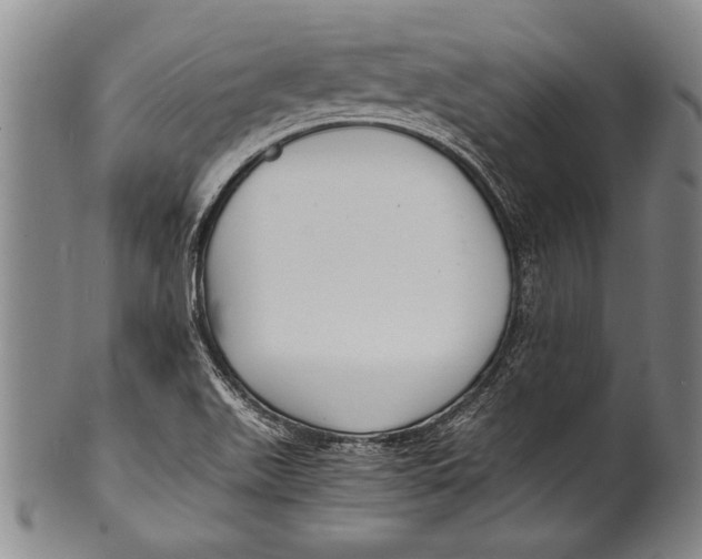 X0000100311511200806261150