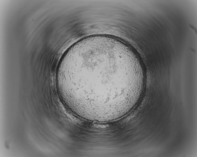 X0000100311513200806261150