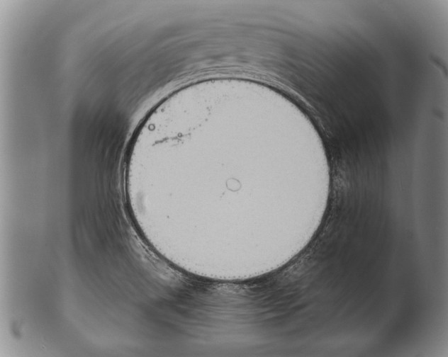 X0000100311514200806261150