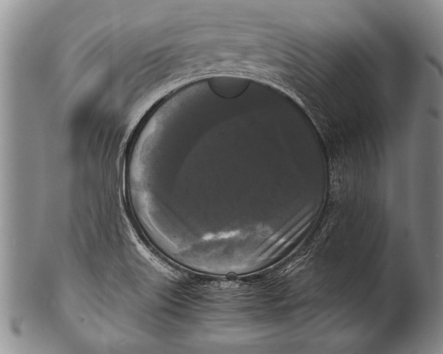 X0000100311515200806261150