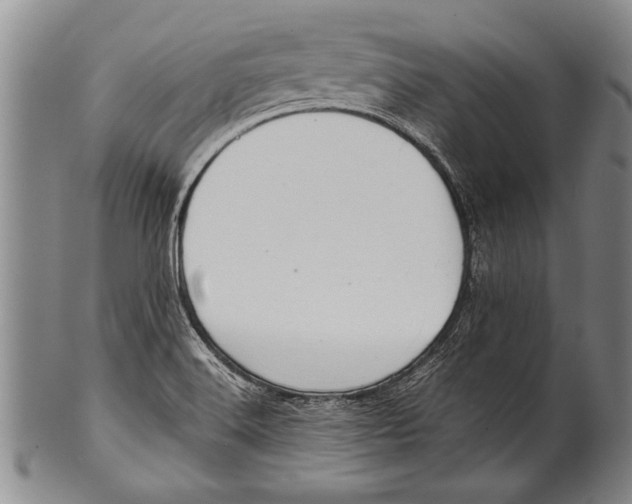 X0000100311516200806261150