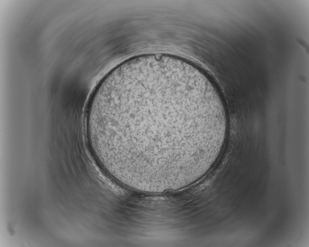 X0000100311517200806261150