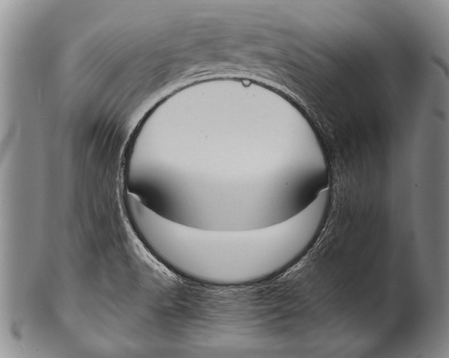 X0000100311518200806261150