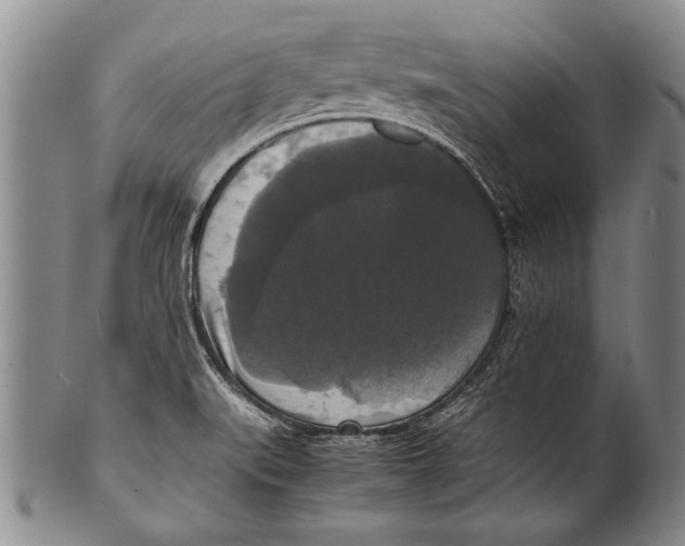 X0000100311519200806261150