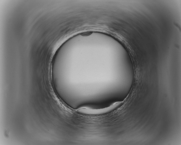 X0000100311520200806261150