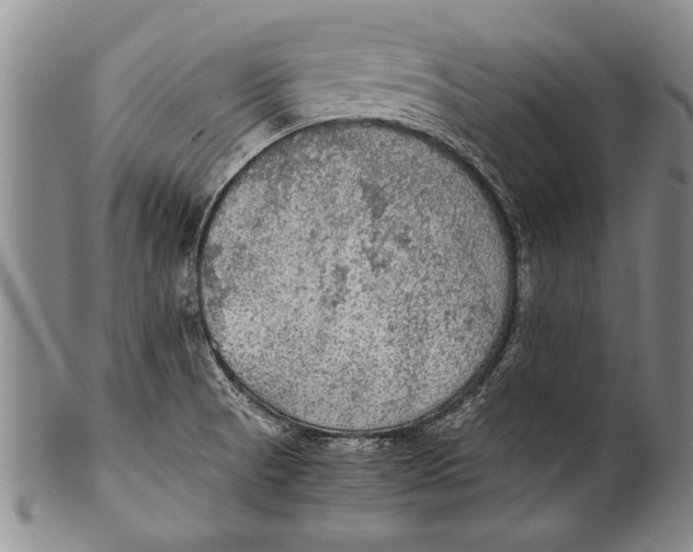 X0000100311521200806261150