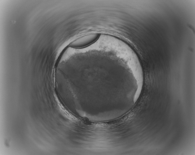 X0000100311522200806261150