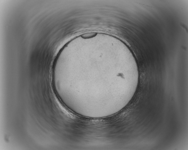 X0000100311523200806261150