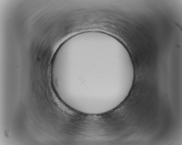 X0000100311526200806261150