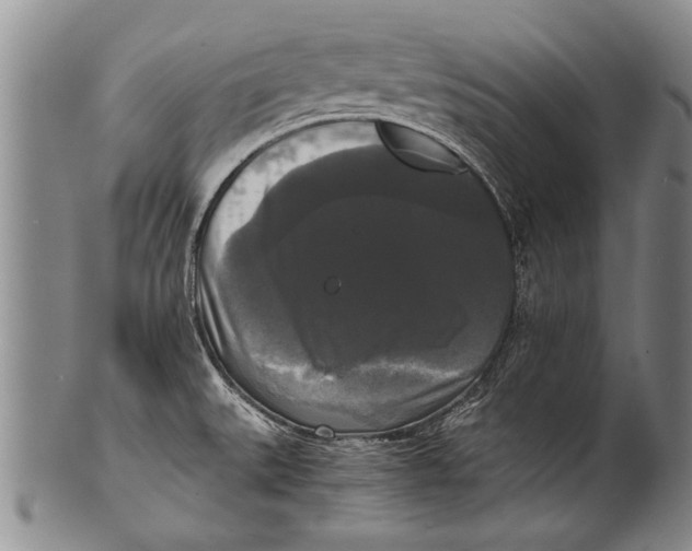 X0000100311527200806261150