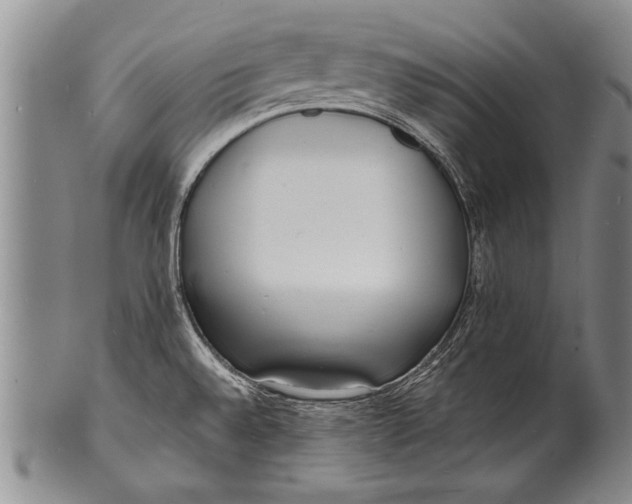 X0000100311528200806261150