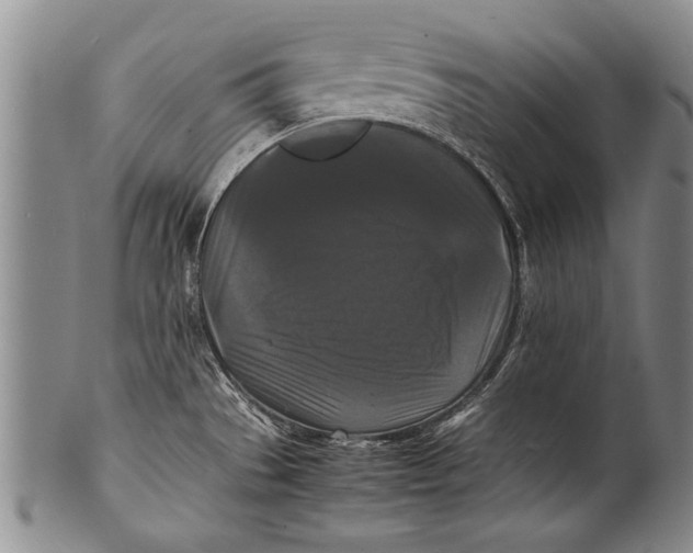 X0000100311529200806261150