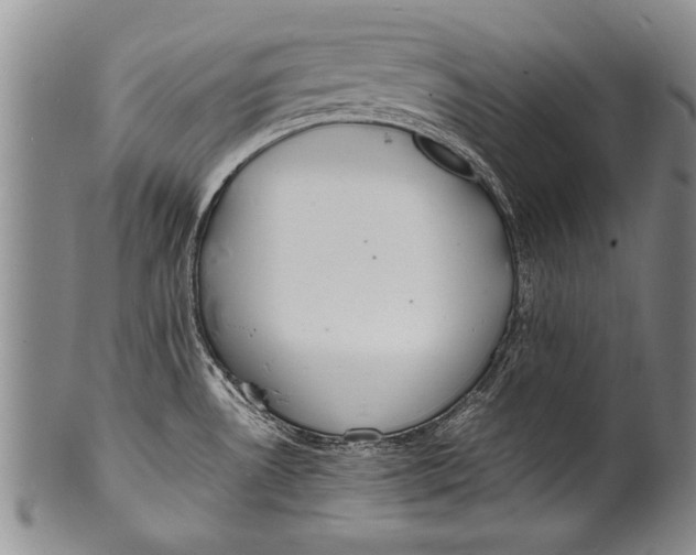 X0000100311530200806261150