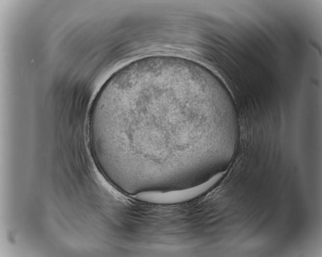 X0000100311531200806261150