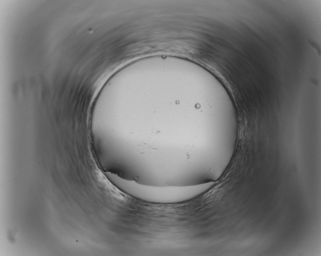 X0000100311532200806261150