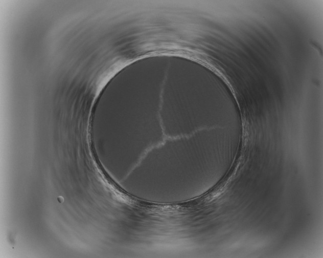 X0000100311533200806261150