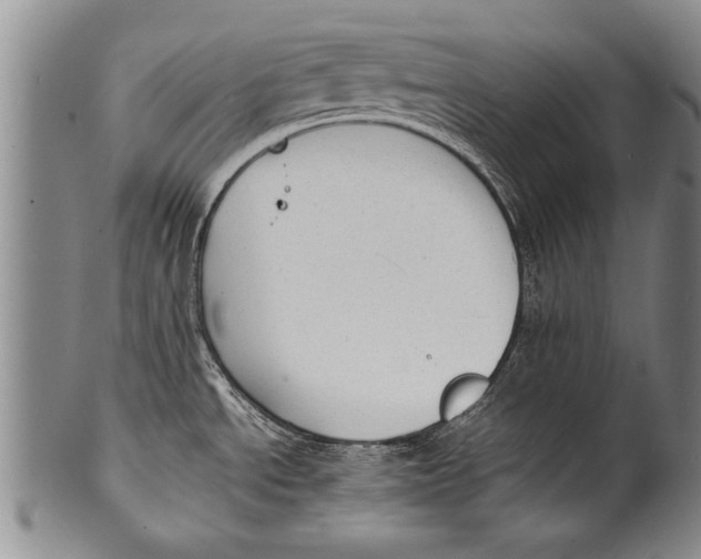 X0000100311534200806261150