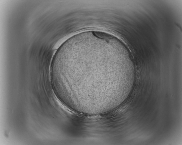 X0000100311535200806261150