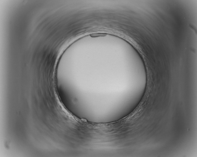 X0000100311536200806261150