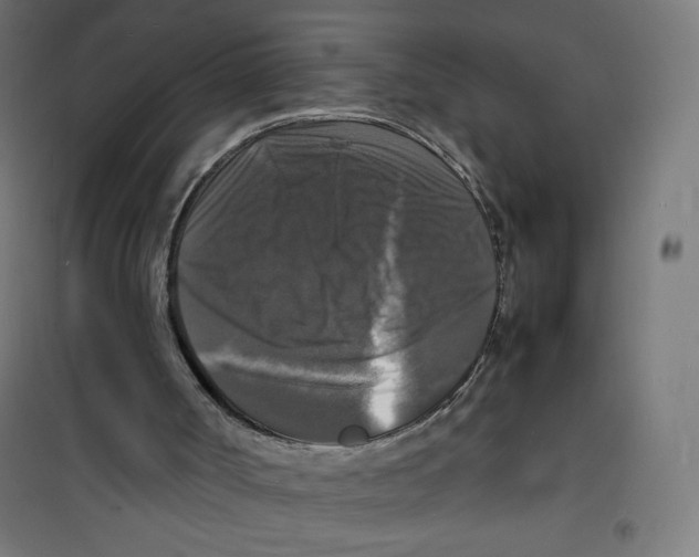 X0000100310002200807031158