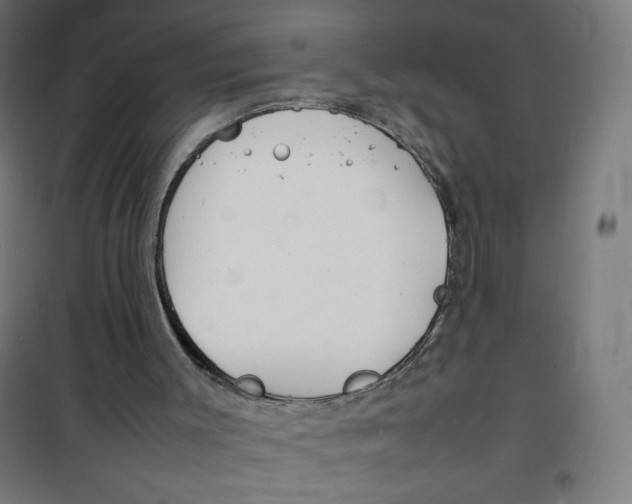 X0000100310003200807031158