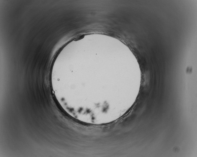 X0000100310004200807031158