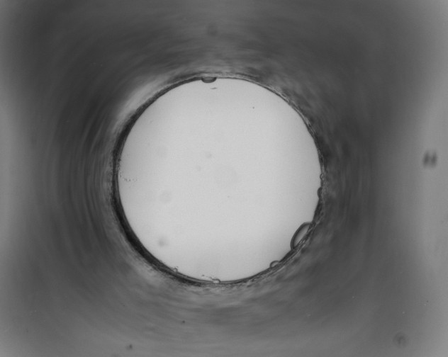X0000100310005200807031158