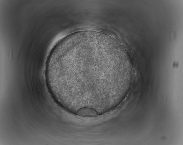 X0000100310006200807031158