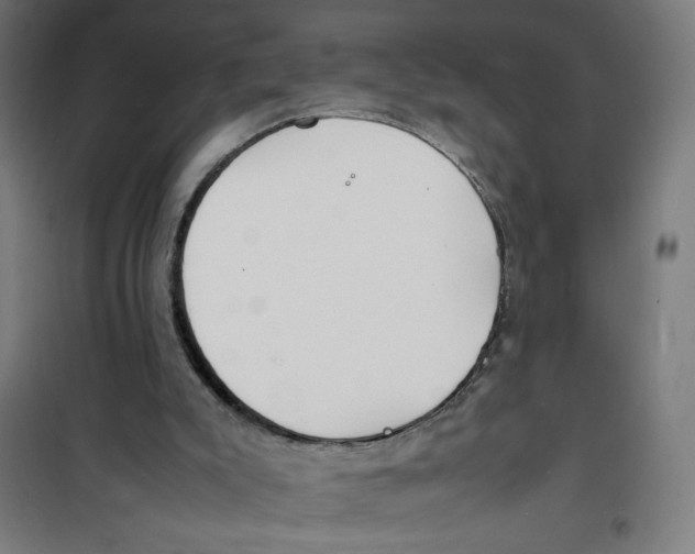 X0000100310007200807031158