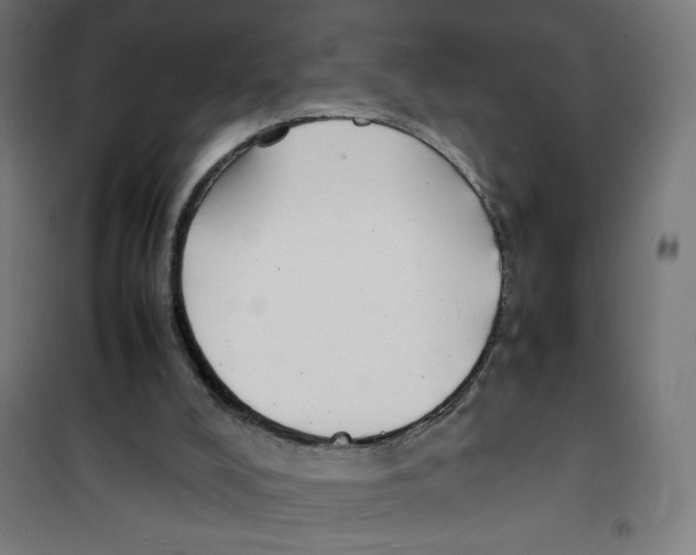 X0000100310008200807031158