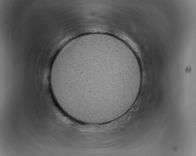X0000100310009200807031158