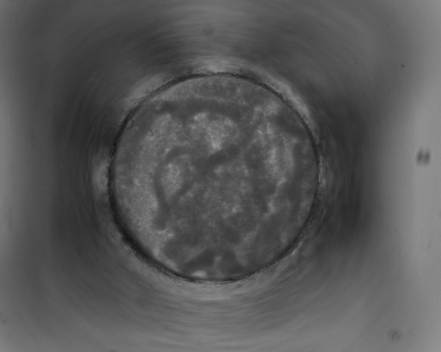 X0000100310010200807031158