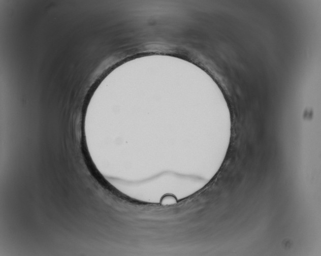 X0000100310011200807031158