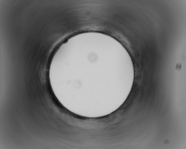X0000100310012200807031158