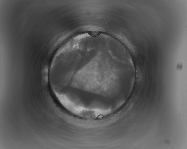 X0000100310014200807031157