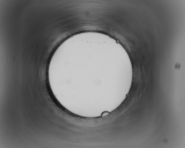 X0000100310015200807031157