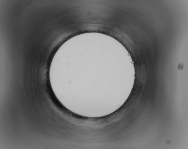X0000100310016200807031157